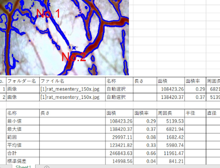 Export to Excel(taken on the screen of GOKO Measure Plus)