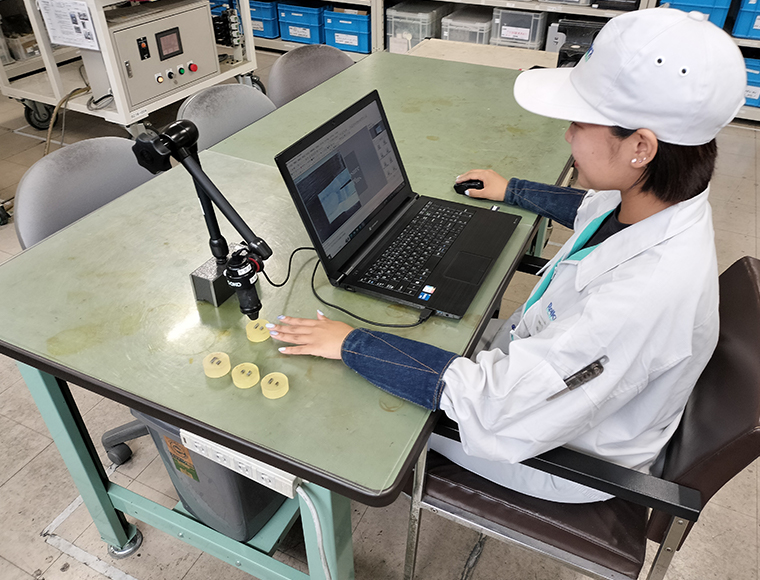 photo of Inspection on the Production Line