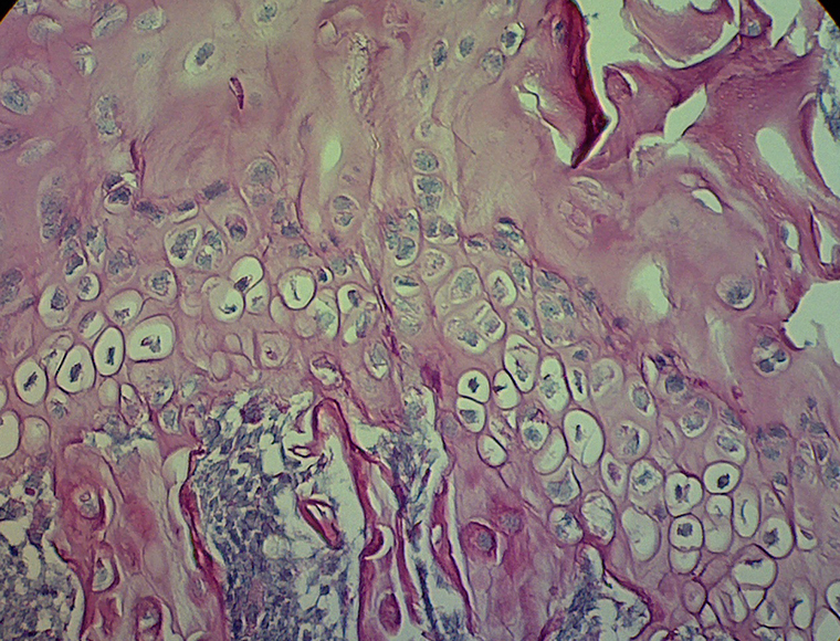 Cell staining