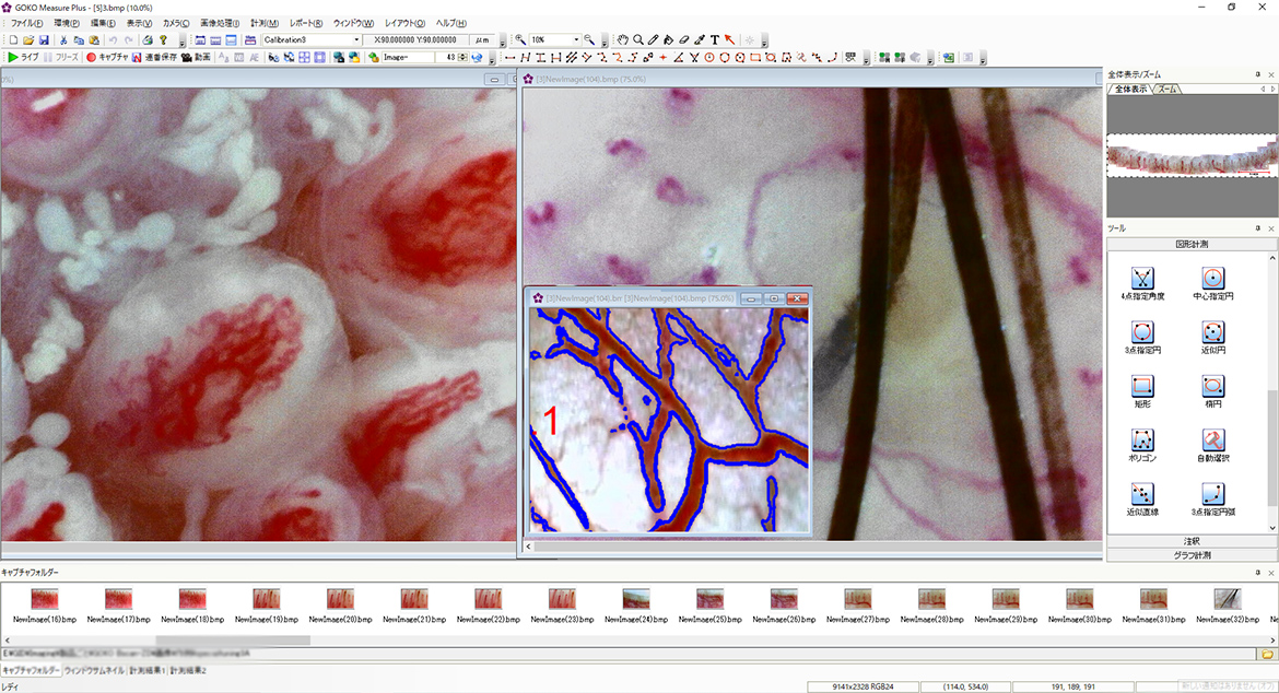 GOKO Measure Plus for advanced image processing / analysis