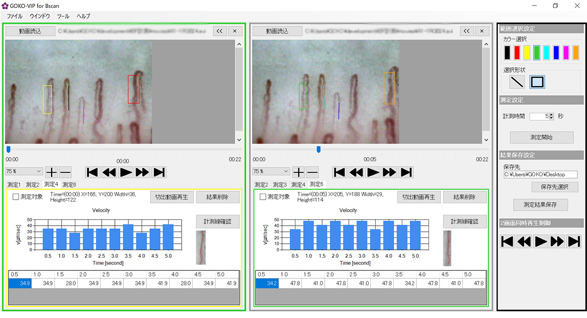 GOKO-VIP for the velocity measurement