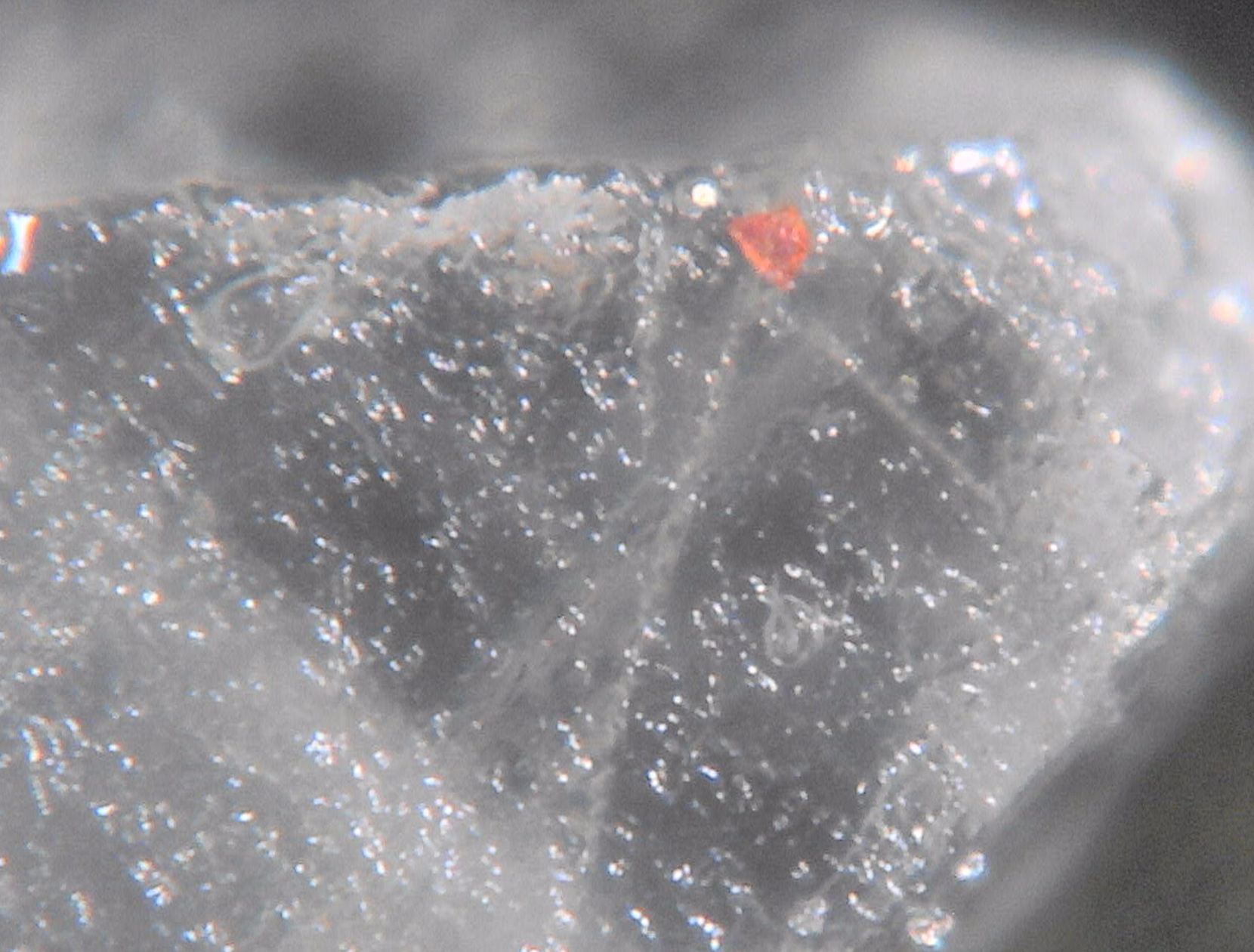 Rock Salt（Approx. 590 times）